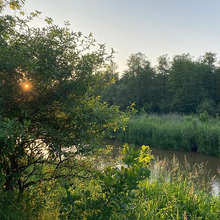 Przytulny Domek W Lesie Blisko Rzeki Ryczywol  المظهر الخارجي الصورة