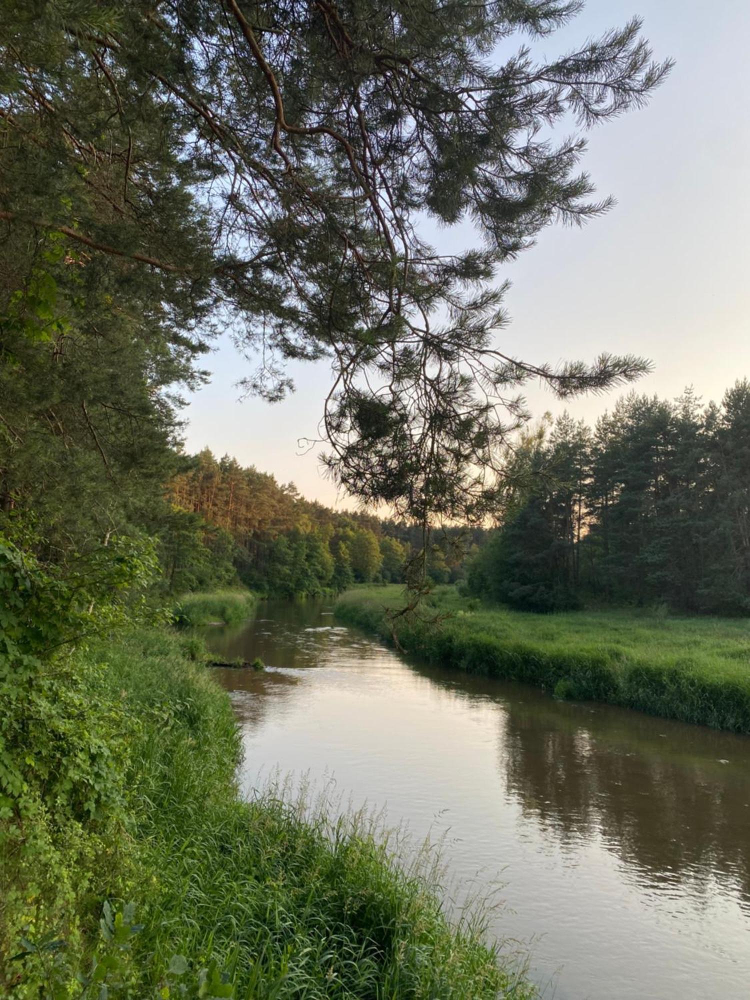 Przytulny Domek W Lesie Blisko Rzeki Ryczywol  المظهر الخارجي الصورة