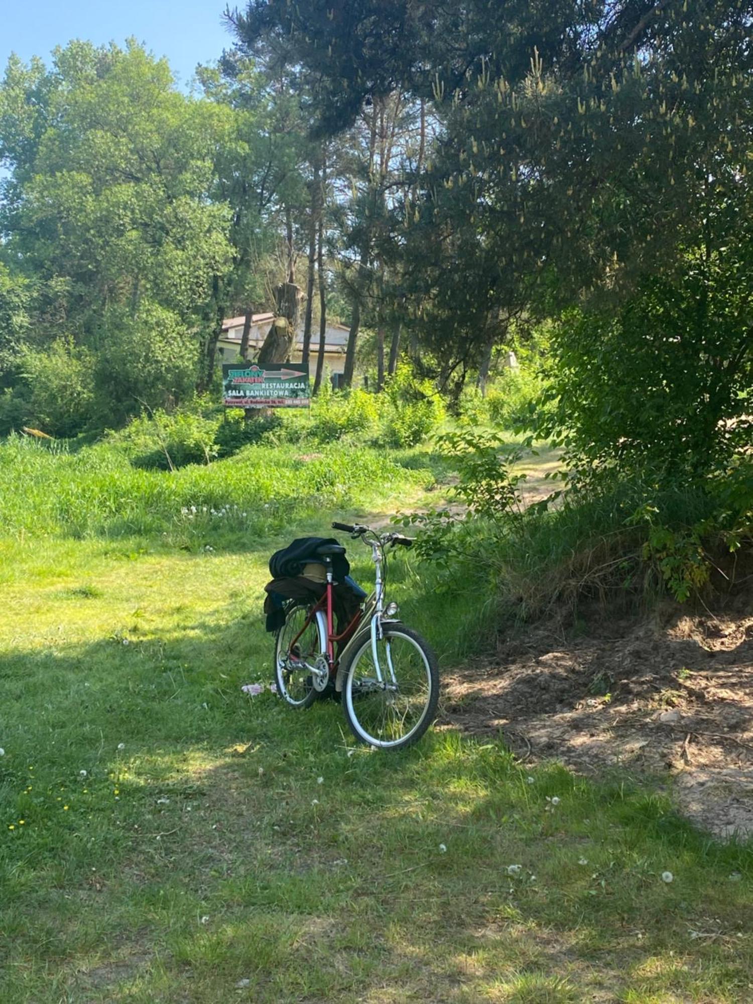 Przytulny Domek W Lesie Blisko Rzeki Ryczywol  المظهر الخارجي الصورة